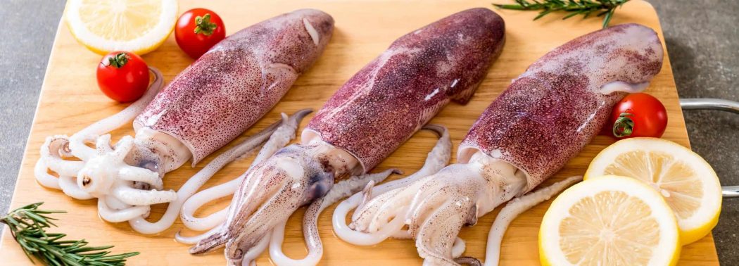 raw squids