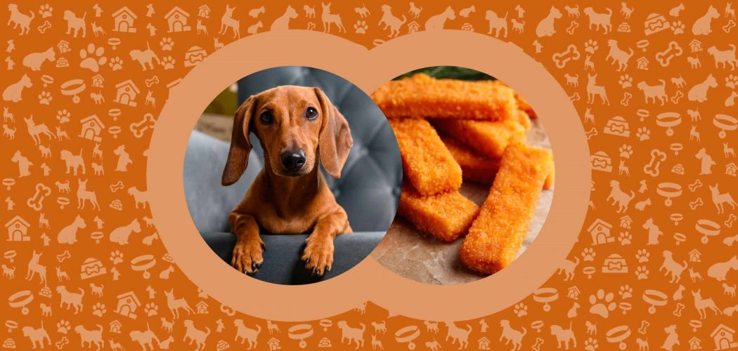 Can Dogs Eat Fish Sticks? Are They Healthy? - Pawut