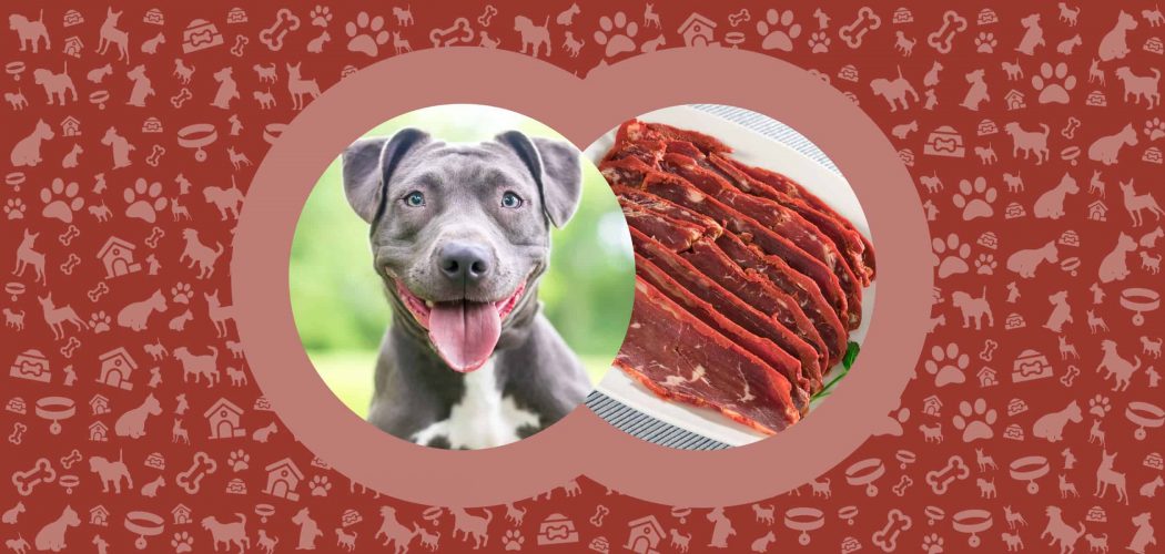 Can Dogs Eat Turkey Bacon? What is the Verdict on this Delicacy? - Pawut