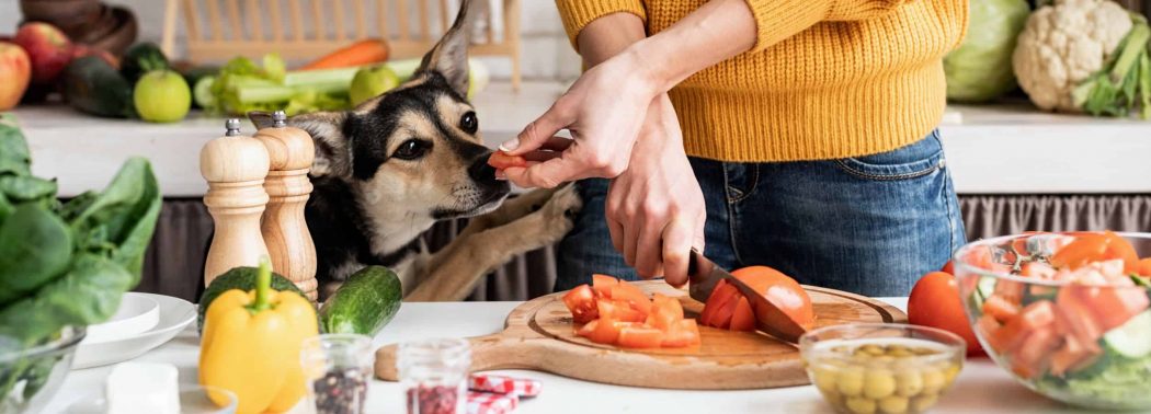 dog eating tomatoes