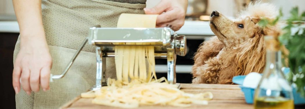 dog helping her owner making pasta